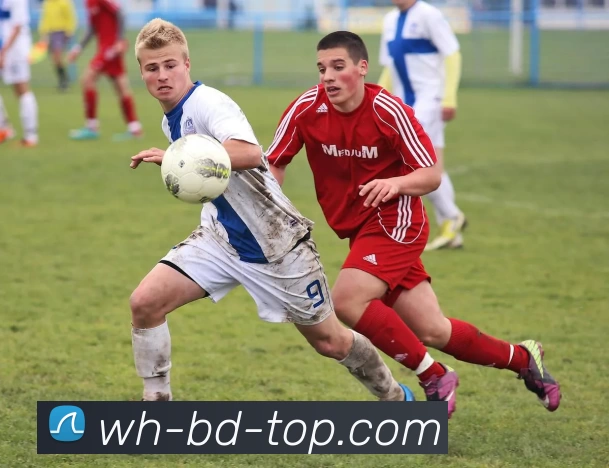 DB真人品牌故事