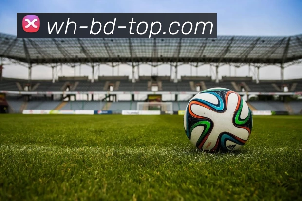 DB真人服务体系