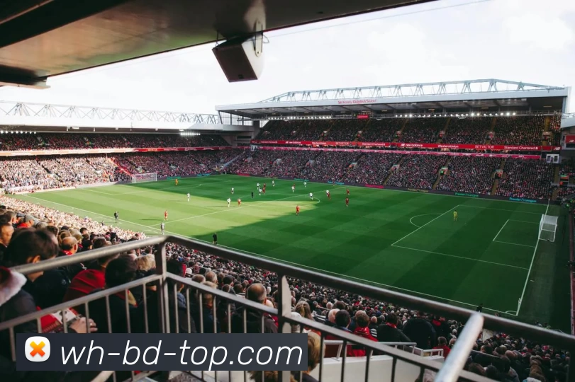 多媒体互动体验